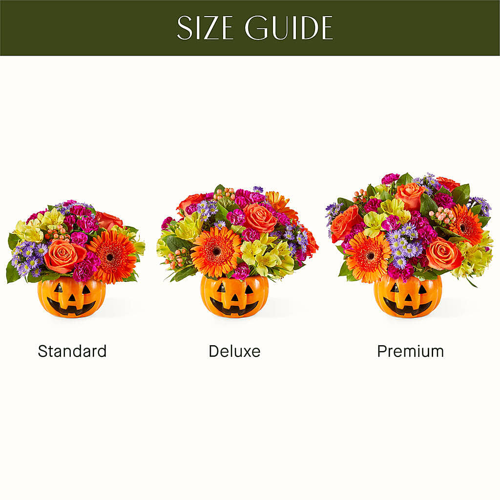 Tricks & Treats Pumpkin – GAETA'S FLOWERS, Los Gatos CA