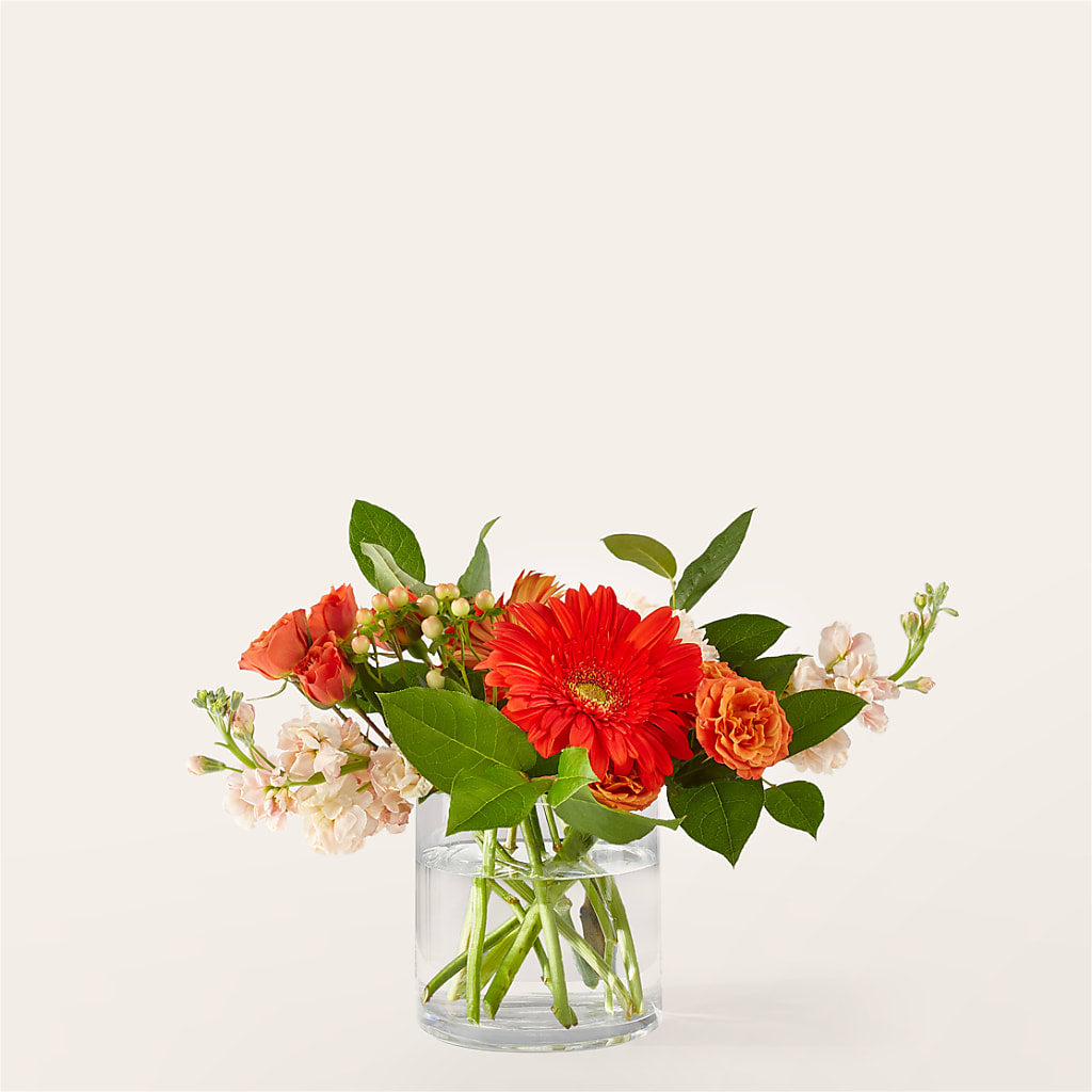 Paloma Please Bouquet – GAETA'S FLOWERS, Los Gatos CA