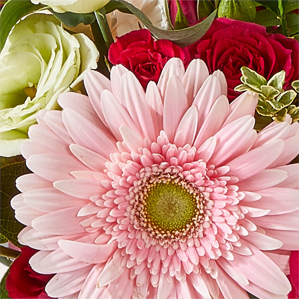 Too Cute Bouquet – GAETA'S FLOWERS, Los Gatos CA