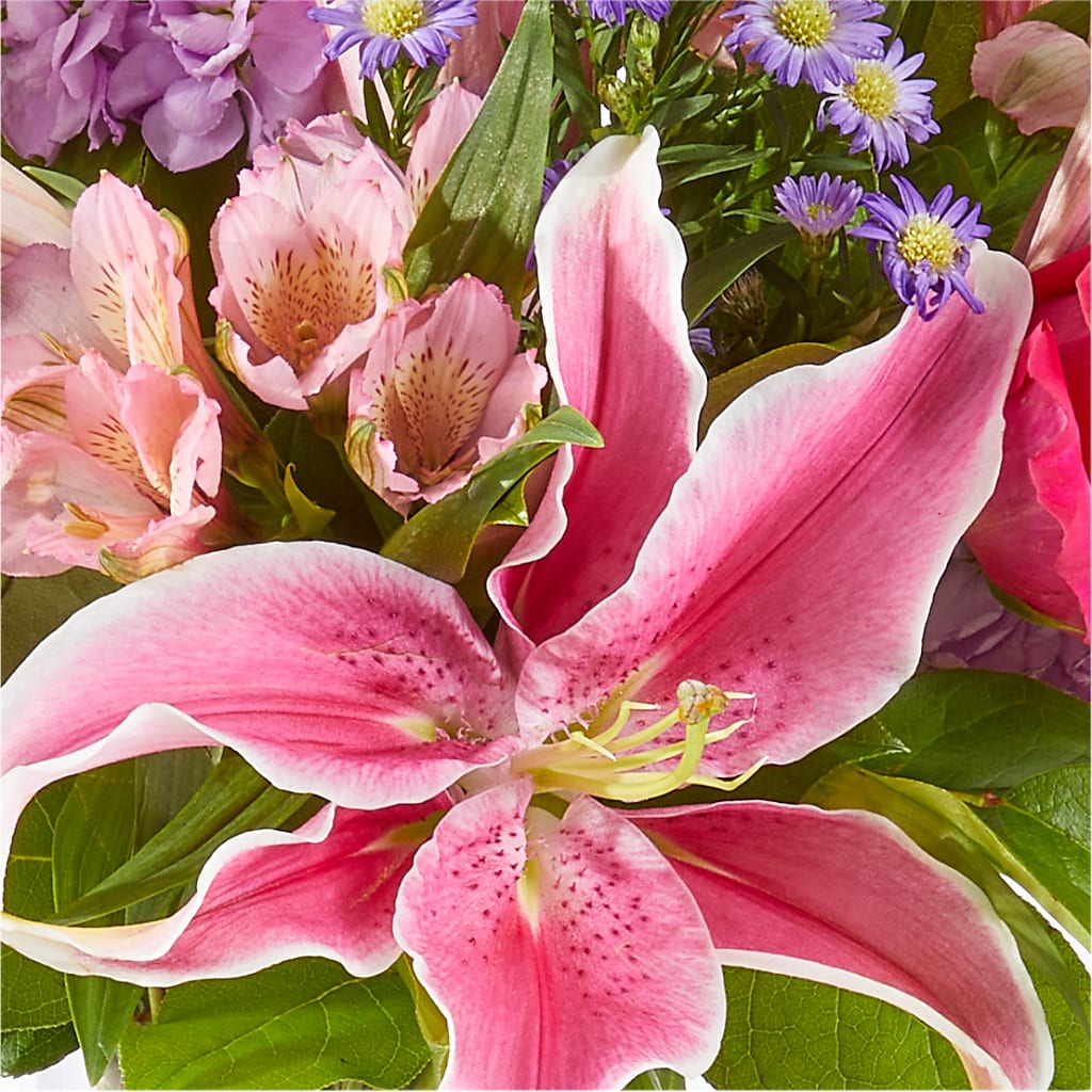 Written in the Stars Bouquet – GAETA'S FLOWERS, Los Gatos CA