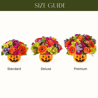 Tricks & Treats Pumpkin – GAETA'S FLOWERS, Los Gatos CA