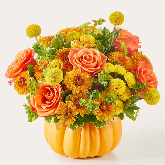 Gourdgeous Pumpkin – GAETA'S FLOWERS, Los Gatos CA