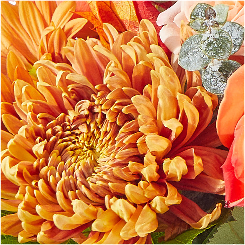 Scenic Route Bouquet – GAETA'S FLOWERS, Los Gatos CA
