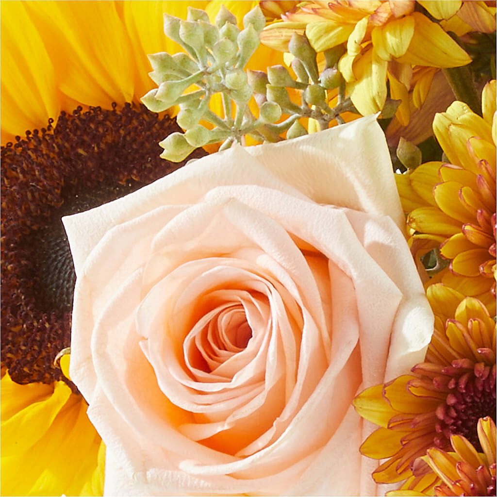 Pumpkin to Talk About Bouquet – GAETA'S FLOWERS, Los Gatos CA