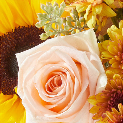Pumpkin to Talk About Bouquet – GAETA'S FLOWERS, Los Gatos CA