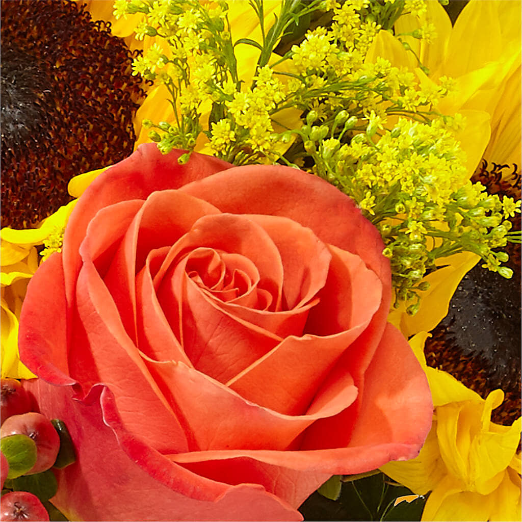 Pick of the Patch Pumpkin Bouquet – GAETA'S FLOWERS, Los Gatos CA