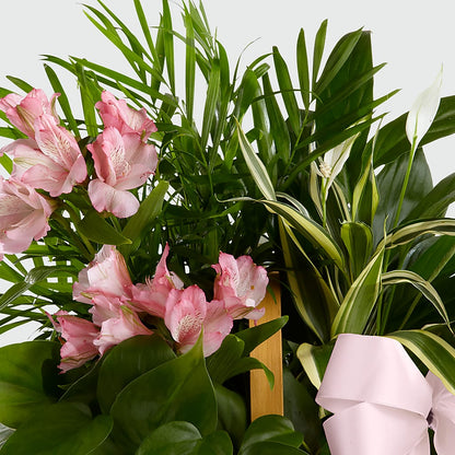 Living Spirit Dishgarden – GAETA'S FLOWERS, Los Gatos CA