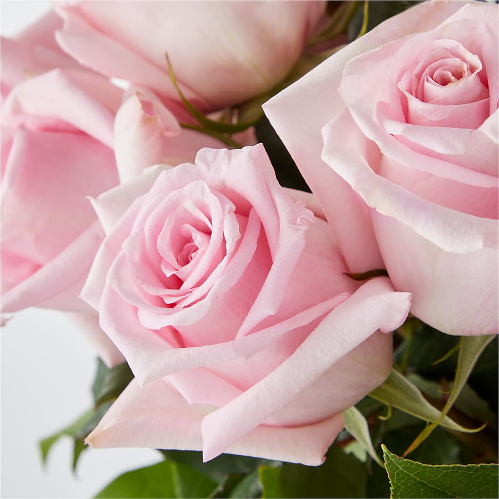 Picture Perfect Pink Rose Bouquet – GAETA'S FLOWERS, Los Gatos CA