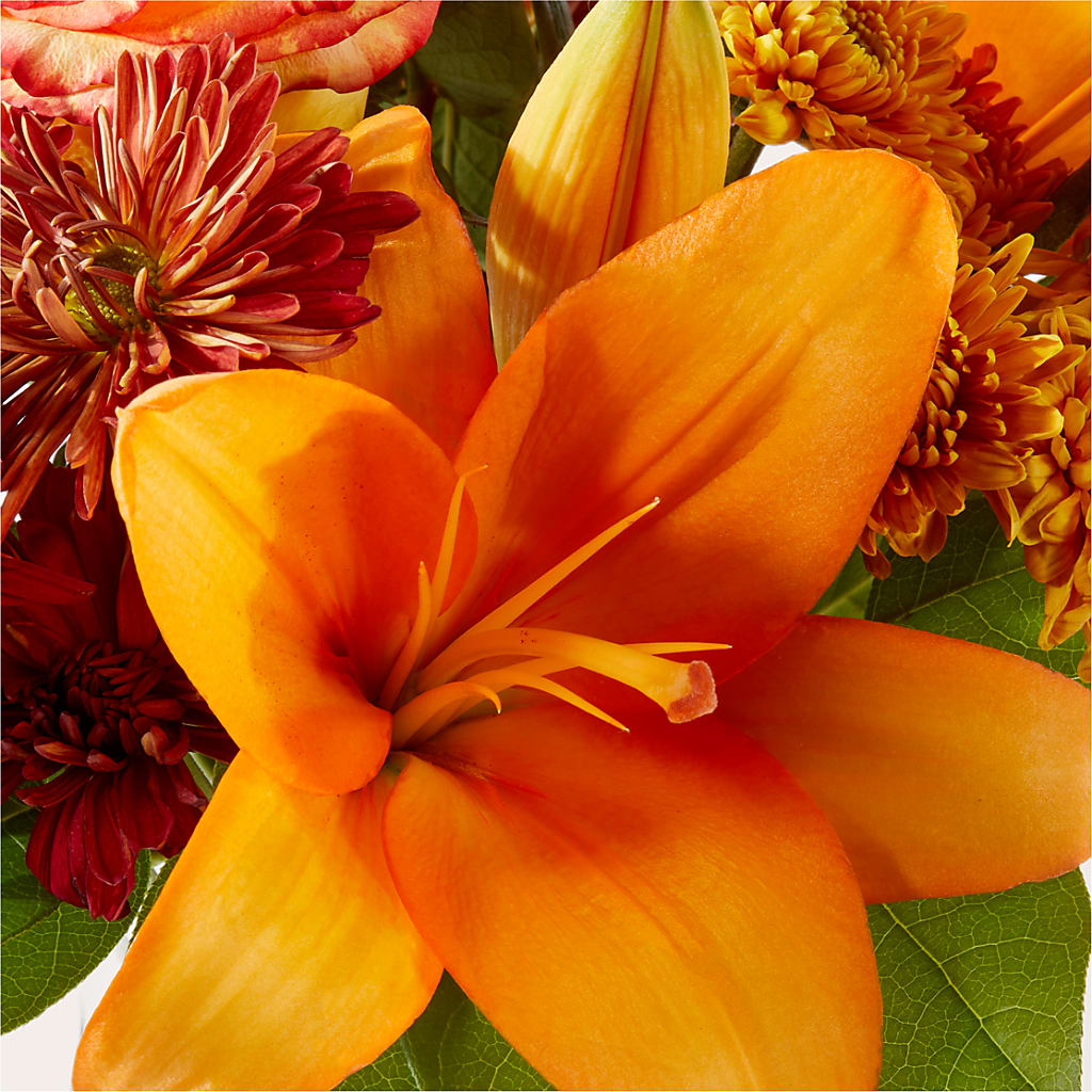 Autumnal Aroma Bouquet – GAETA'S FLOWERS, Los Gatos CA