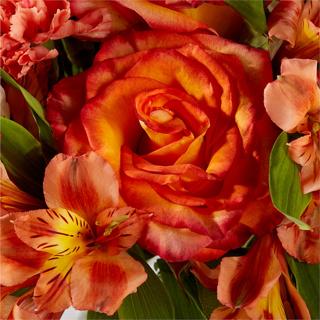 Apricot Glow Bouquet – GAETA'S FLOWERS, Los Gatos CA