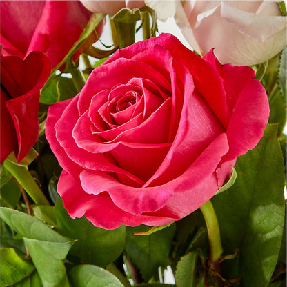 Charming Rose Bouquet – GAETA'S FLOWERS, Los Gatos CA