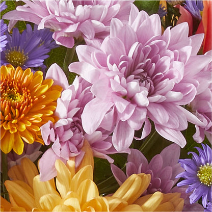 Countryside Bouquet – GAETA'S FLOWERS, Los Gatos CA