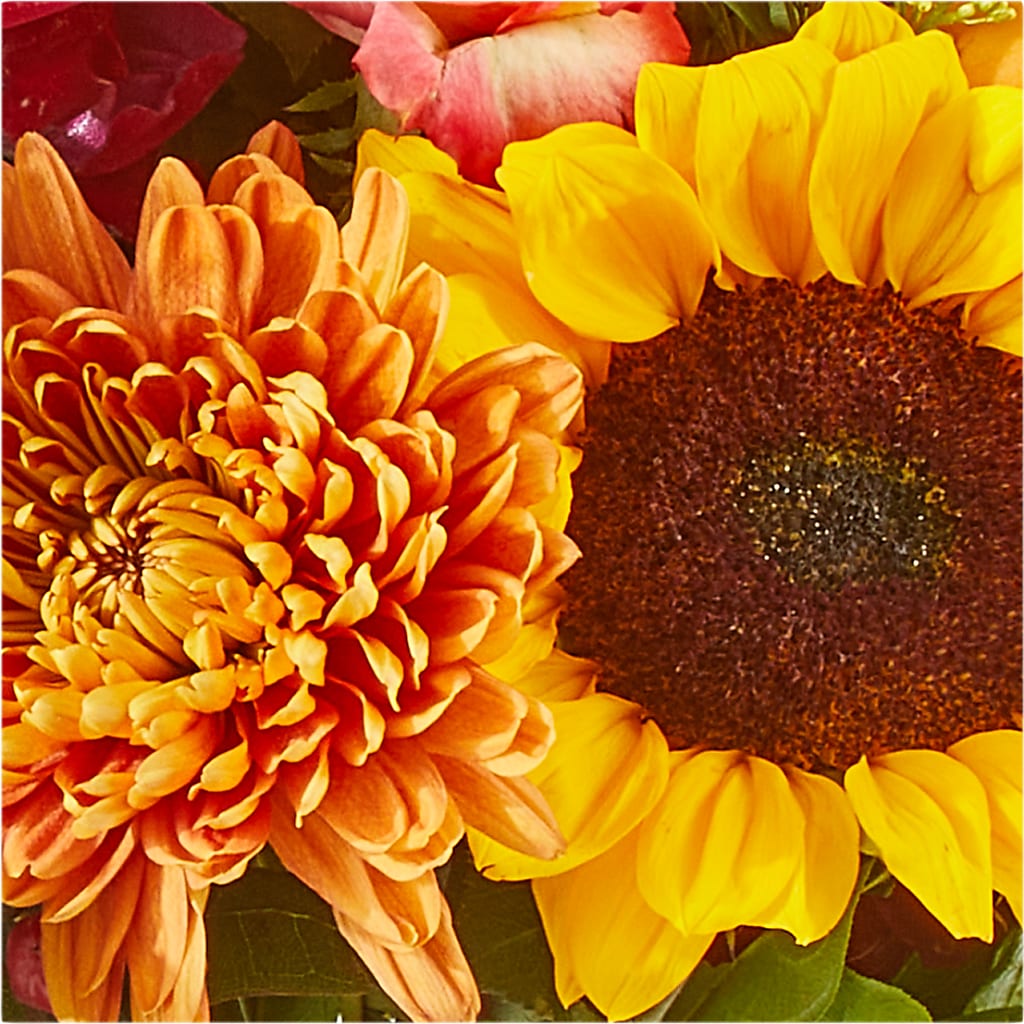 Seasons Change Bouquet – GAETA'S FLOWERS, Los Gatos CA