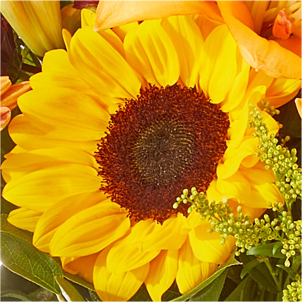 Seasons Change Bouquet – GAETA'S FLOWERS, Los Gatos CA