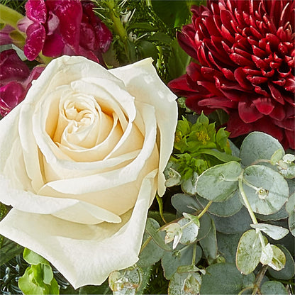 Cranberry Fizz Bouquet – GAETA'S FLOWERS, Los Gatos CA