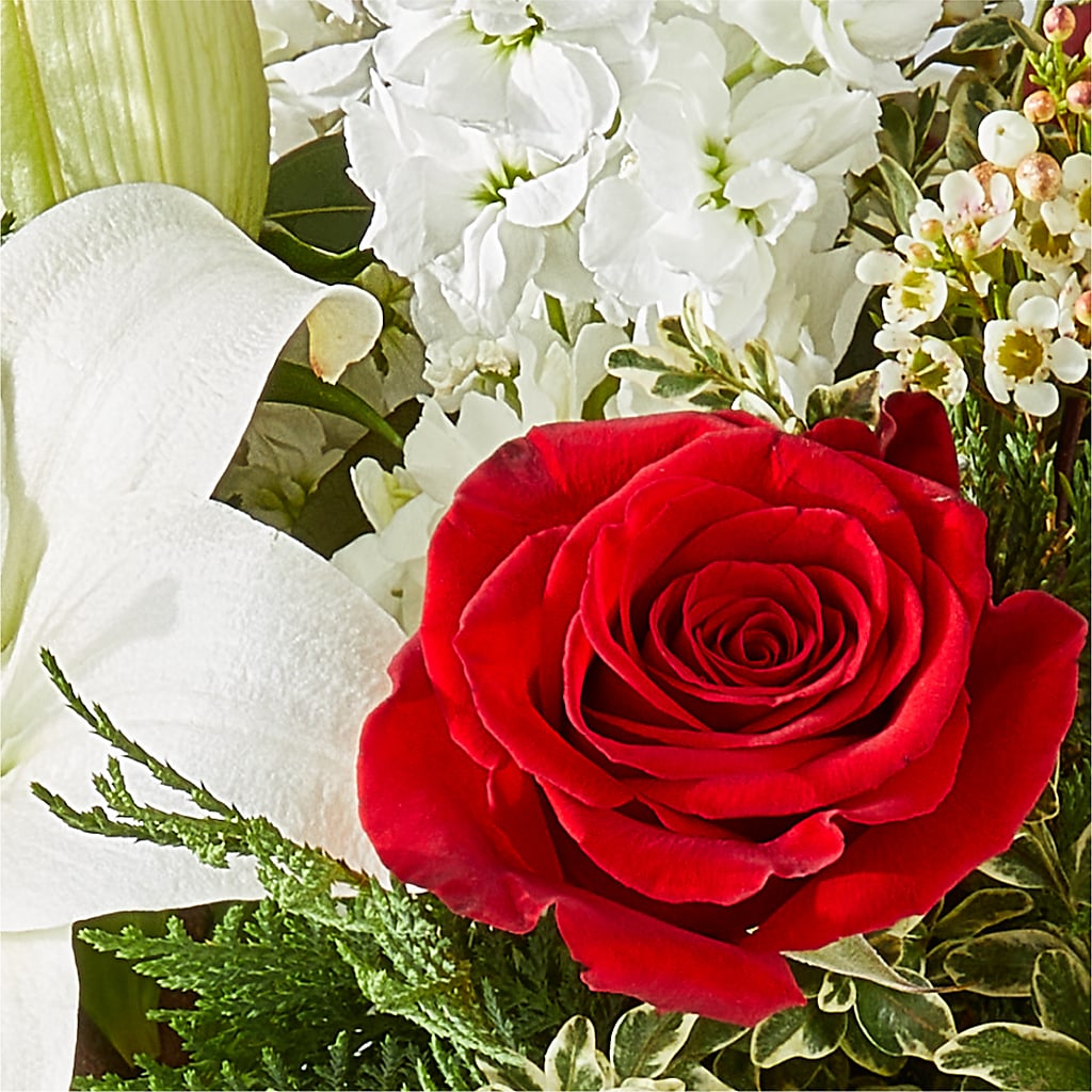 Twinkle Lights Bouquet – GAETA'S FLOWERS, Los Gatos CA