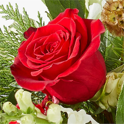 Deck the Halls Bouquet – GAETA'S FLOWERS, Los Gatos CA