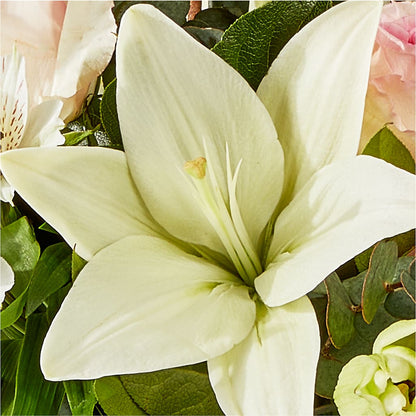 Ballet Slippers Bouquet – GAETA'S FLOWERS, Los Gatos CA
