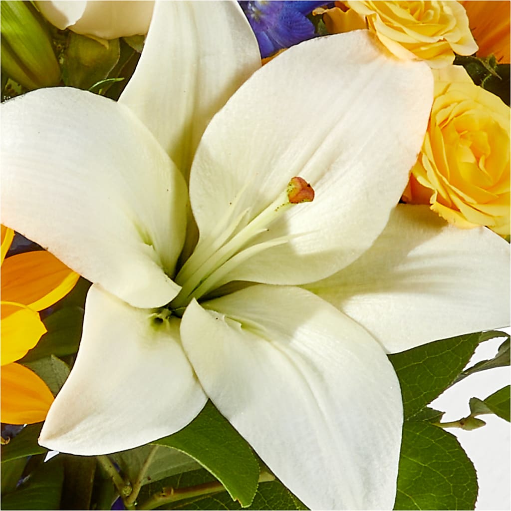 Wonderfully Sunny Bouquet – GAETA'S FLOWERS, Los Gatos CA