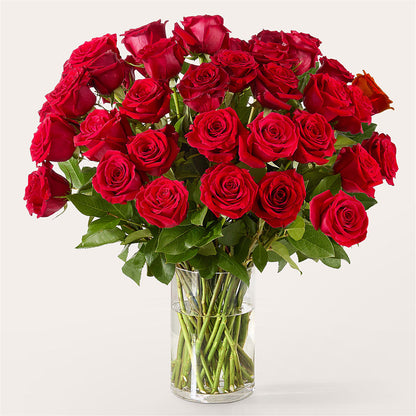 The One Red Rose Bouquet – GAETA'S FLOWERS, Los Gatos CA