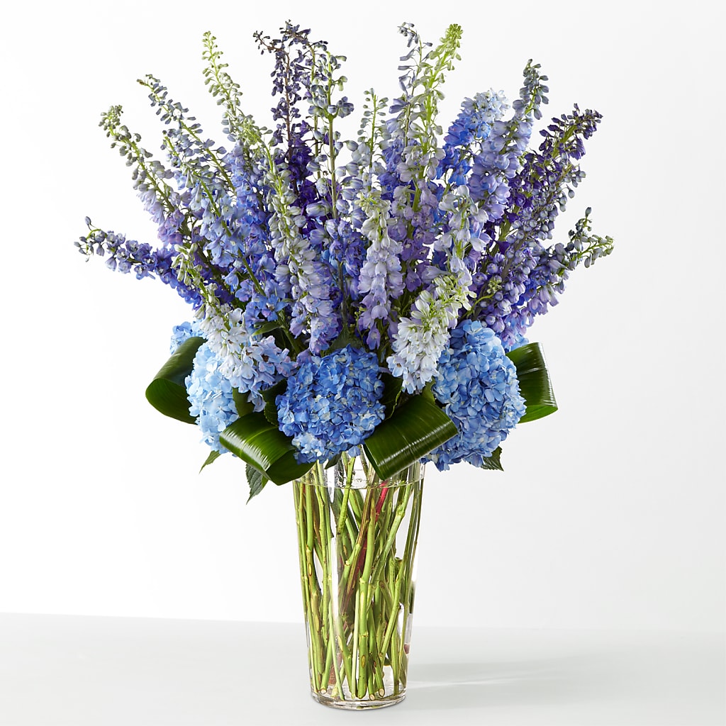 The Editorial – GAETA'S FLOWERS, Los Gatos CA