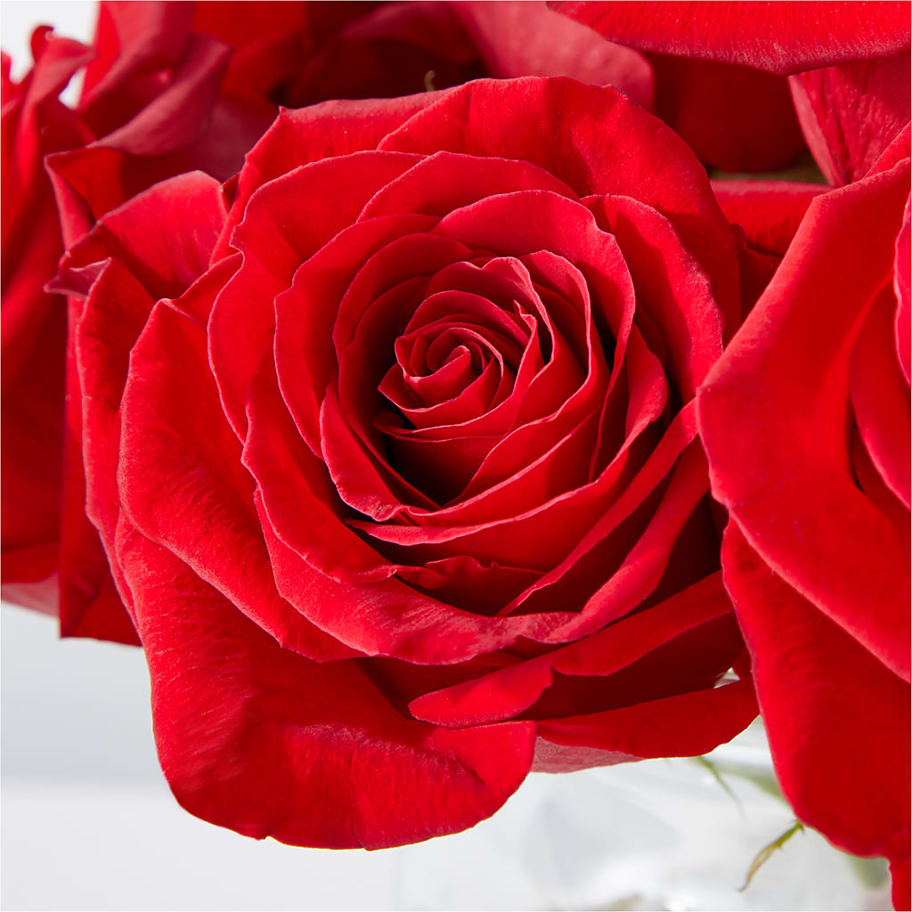 Cupid's Embrace Red Rose Bouquet – GAETA'S FLOWERS, Los Gatos CA